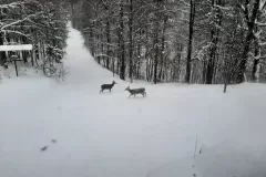 236f054c-cef9-4387-a8e3-4067f1522450.jpeg
